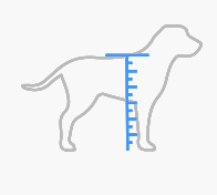 Captura de Pantalla 2022-02-07 a la(s) 09.56.41